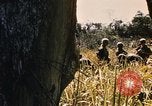 Image of Operation Big Spring Bien Hoa Vietnam, 1967, second 23 stock footage video 65675035383