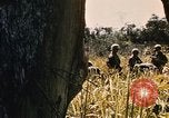 Image of Operation Big Spring Bien Hoa Vietnam, 1967, second 26 stock footage video 65675035383