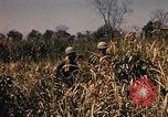 Image of Operation Big Spring Bien Hoa Vietnam, 1967, second 27 stock footage video 65675035383