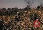 Image of Operation Big Spring Bien Hoa Vietnam, 1967, second 28 stock footage video 65675035383