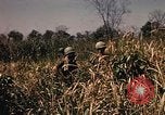 Image of Operation Big Spring Bien Hoa Vietnam, 1967, second 29 stock footage video 65675035383