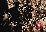 Image of Operation Big Spring Bien Hoa Vietnam, 1967, second 32 stock footage video 65675035383