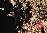 Image of Operation Big Spring Bien Hoa Vietnam, 1967, second 33 stock footage video 65675035383