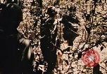 Image of Operation Big Spring Bien Hoa Vietnam, 1967, second 34 stock footage video 65675035383