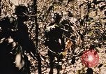 Image of Operation Big Spring Bien Hoa Vietnam, 1967, second 35 stock footage video 65675035383