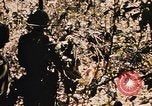Image of Operation Big Spring Bien Hoa Vietnam, 1967, second 36 stock footage video 65675035383