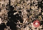 Image of Operation Big Spring Bien Hoa Vietnam, 1967, second 37 stock footage video 65675035383