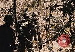 Image of Operation Big Spring Bien Hoa Vietnam, 1967, second 38 stock footage video 65675035383