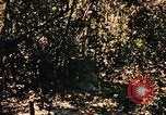 Image of Operation Big Spring Bien Hoa Vietnam, 1967, second 40 stock footage video 65675035383