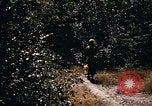 Image of Operation Big Spring Bien Hoa Vietnam, 1967, second 62 stock footage video 65675035383