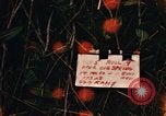 Image of Operation Big Spring Bien Hoa Vietnam, 1967, second 1 stock footage video 65675035385