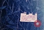 Image of Operation Big Spring Bien Hoa Vietnam, 1967, second 4 stock footage video 65675035385
