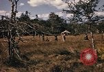 Image of Operation Big Spring Bien Hoa Vietnam, 1967, second 37 stock footage video 65675035385