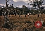 Image of Operation Big Spring Bien Hoa Vietnam, 1967, second 38 stock footage video 65675035385