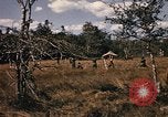 Image of Operation Big Spring Bien Hoa Vietnam, 1967, second 40 stock footage video 65675035385