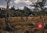 Image of Operation Big Spring Bien Hoa Vietnam, 1967, second 41 stock footage video 65675035385