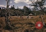 Image of Operation Big Spring Bien Hoa Vietnam, 1967, second 42 stock footage video 65675035385