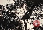 Image of Operation Big Spring Bien Hoa Vietnam, 1967, second 43 stock footage video 65675035385