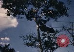Image of Operation Big Spring Bien Hoa Vietnam, 1967, second 49 stock footage video 65675035385