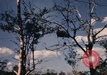 Image of Operation Big Spring Bien Hoa Vietnam, 1967, second 51 stock footage video 65675035385