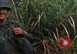 Image of US Marines Khe Sanh Vietnam, 1968, second 7 stock footage video 65675035387