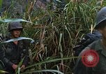 Image of US Marines Khe Sanh Vietnam, 1968, second 12 stock footage video 65675035387
