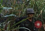 Image of US Marines Khe Sanh Vietnam, 1968, second 14 stock footage video 65675035387