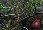Image of US Marines Khe Sanh Vietnam, 1968, second 15 stock footage video 65675035387