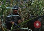 Image of US Marines Khe Sanh Vietnam, 1968, second 17 stock footage video 65675035387