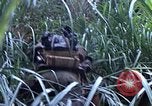 Image of US Marines Khe Sanh Vietnam, 1968, second 21 stock footage video 65675035387