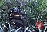 Image of US Marines Khe Sanh Vietnam, 1968, second 22 stock footage video 65675035387