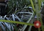 Image of US Marines Khe Sanh Vietnam, 1968, second 26 stock footage video 65675035387