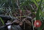 Image of US Marines Khe Sanh Vietnam, 1968, second 35 stock footage video 65675035387
