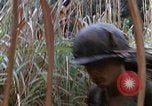 Image of US Marines Khe Sanh Vietnam, 1968, second 45 stock footage video 65675035387