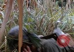 Image of US Marines Khe Sanh Vietnam, 1968, second 51 stock footage video 65675035387