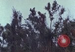 Image of US Marines Khe Sanh Vietnam, 1968, second 23 stock footage video 65675035388
