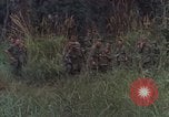 Image of US Marines Khe Sanh Vietnam, 1968, second 25 stock footage video 65675035388