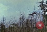 Standbild US Marine Khe Sanh Vietnam, 1968, aus Sekunde 54 historischem Filmmaterial Videoclip 65675035389
