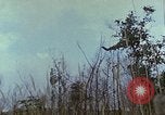 Standbild US Marine Khe Sanh Vietnam, 1968, aus Sekunde 55 historischem Filmmaterial Videoclip 65675035389