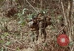Image of US Marines Khe Sanh Vietnam, 1968, second 5 stock footage video 65675035390