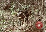 Image of US Marines Khe Sanh Vietnam, 1968, second 8 stock footage video 65675035390
