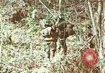 Image of US Marines Khe Sanh Vietnam, 1968, second 9 stock footage video 65675035390