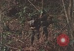Image of US Marines Khe Sanh Vietnam, 1968, second 11 stock footage video 65675035390