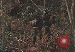 Image of US Marines Khe Sanh Vietnam, 1968, second 13 stock footage video 65675035390