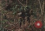 Image of US Marines Khe Sanh Vietnam, 1968, second 15 stock footage video 65675035390