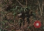 Image of US Marines Khe Sanh Vietnam, 1968, second 16 stock footage video 65675035390
