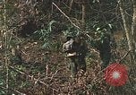 Image of US Marines Khe Sanh Vietnam, 1968, second 20 stock footage video 65675035390