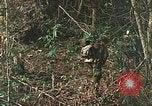 Image of US Marines Khe Sanh Vietnam, 1968, second 21 stock footage video 65675035390