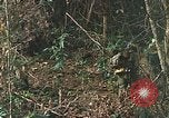 Image of US Marines Khe Sanh Vietnam, 1968, second 22 stock footage video 65675035390