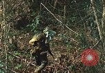 Image of US Marines Khe Sanh Vietnam, 1968, second 27 stock footage video 65675035390